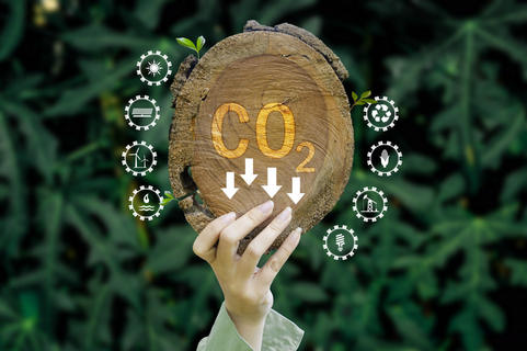 1765335751459491.jpg 谈跑.jpg